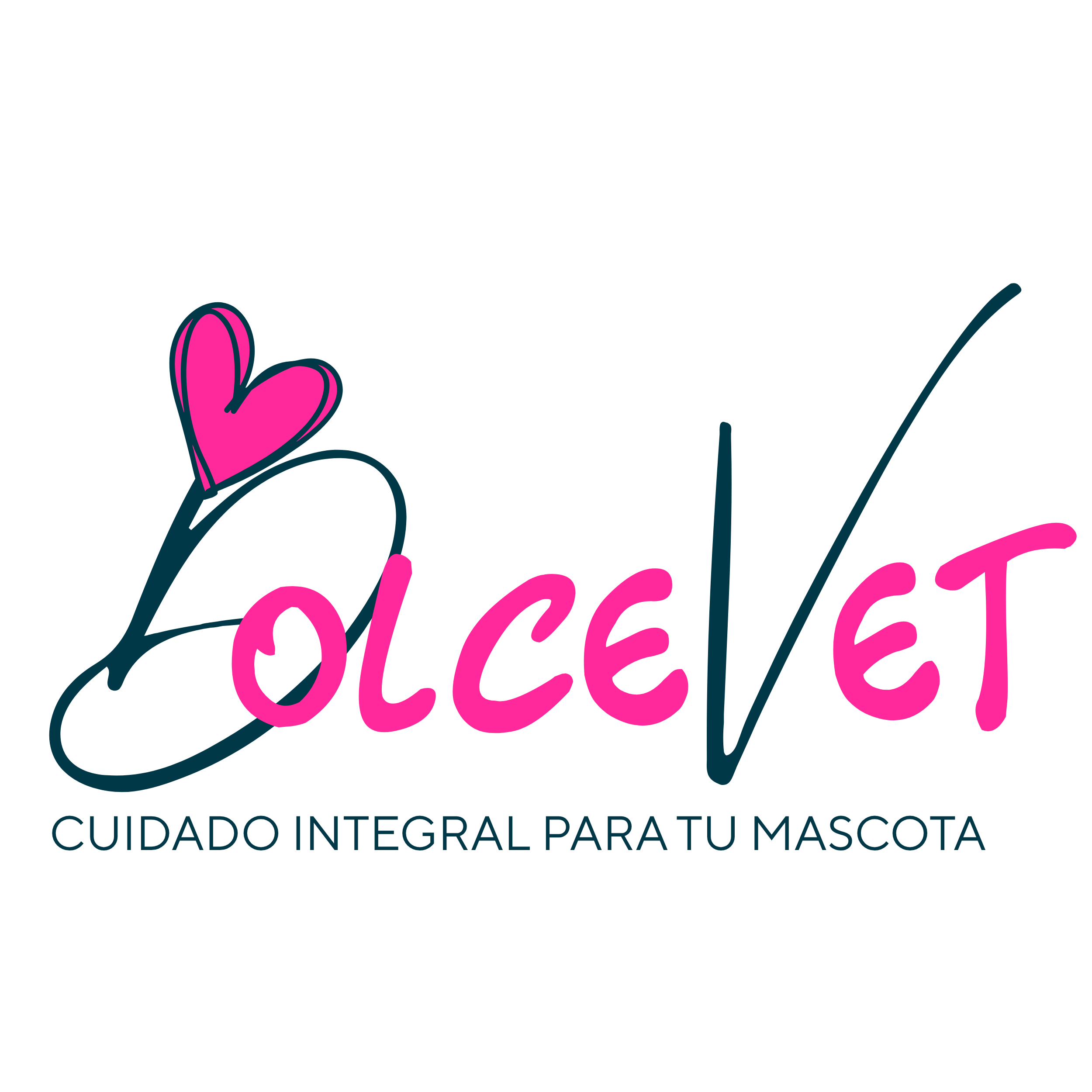 dolcevet.dolceamore.cl