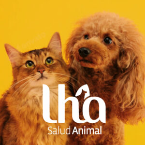 DOLCEVET - Bienestar Animal